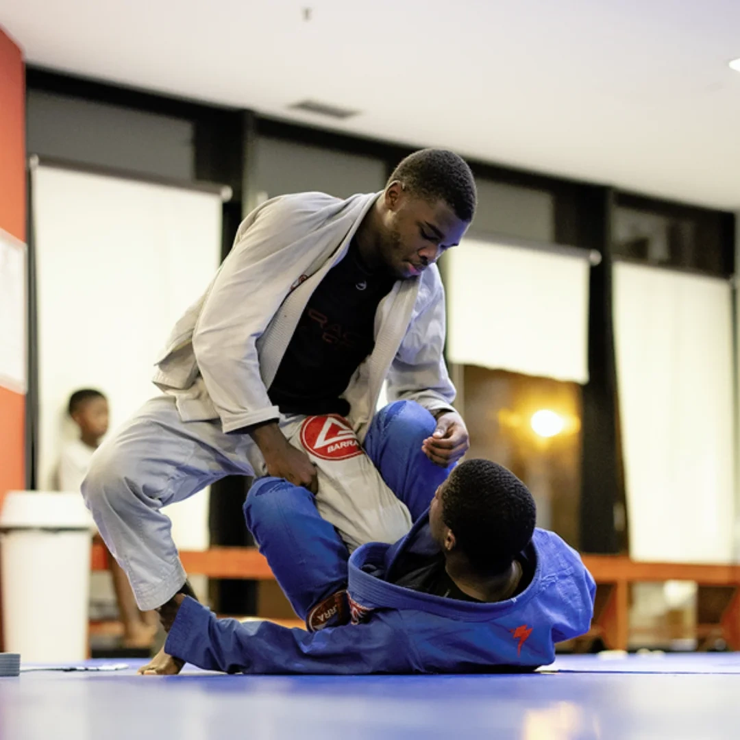 Common Things Every BJJ White Belt Does – Gracie Barra Tampa