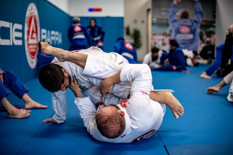 Adults jiu-jitsu training