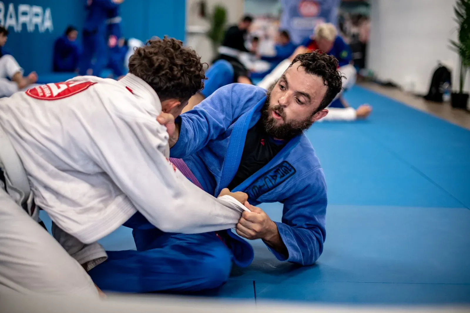 Consistency and Routine: The Real Secret to Mastering BJJ at Gracie Barra Citrus Park Tampa